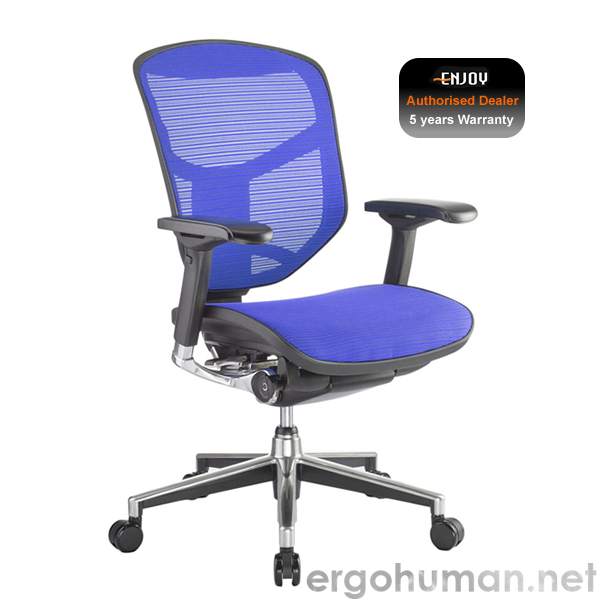 Enjoy Office Chairs